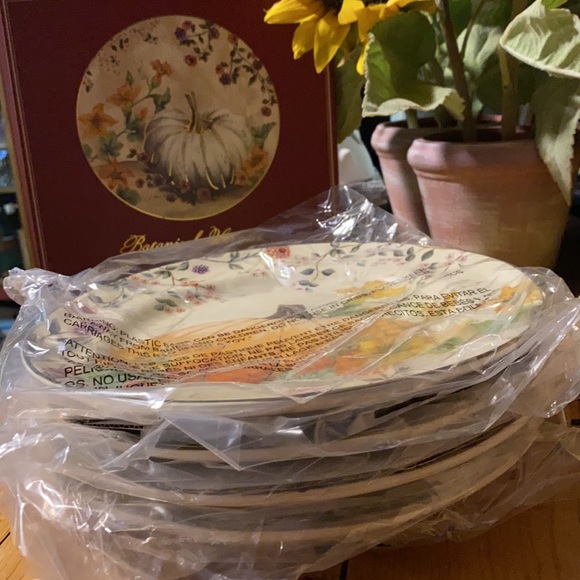 Pottery Barn Botanical Harvest Pumpkin Stoneware Set of Four Salad plates - Picture 15 of 16